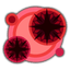 Great Dracophage Bug